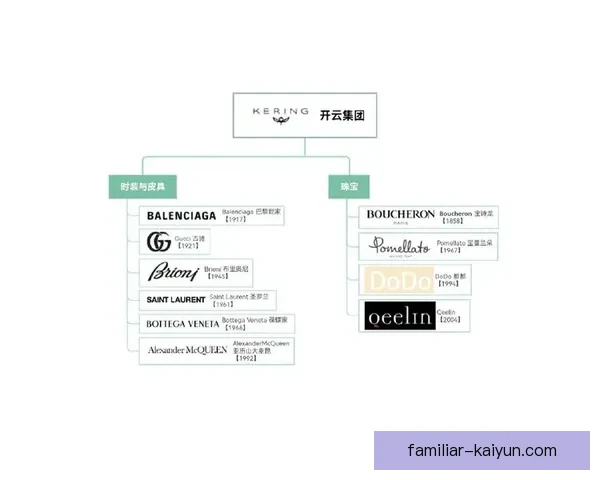 以开云首页为核心的奢侈品集团品牌价值与数字体验新窗口战略展示