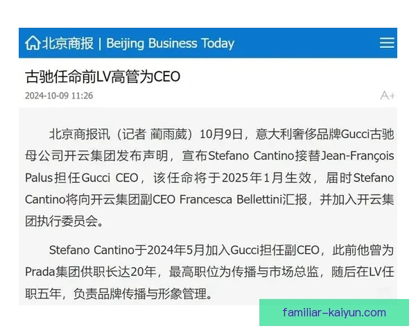 开云全站深度解析：探索全球领先奢侈品牌背后的成功战略与市场布局