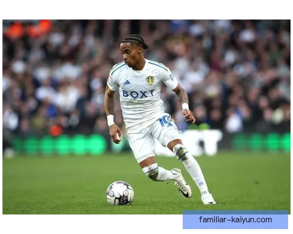 利兹联俱乐部的辉煌历史与未来发展前景分析